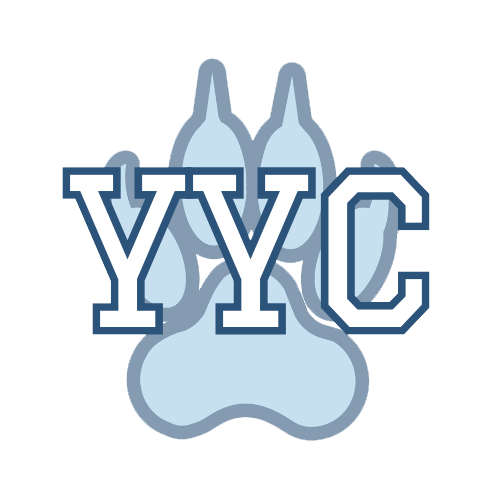 York Youth Cheerleading logo